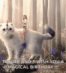Taylor Swift Cat Happy Birthday GIF