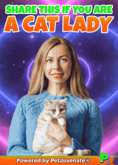 Taylor Swift Holding Two Cats And A Puppy GIF