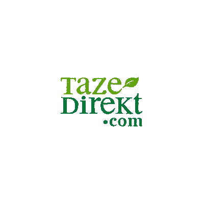 Taze Direkt Logo Green Letters Sticker