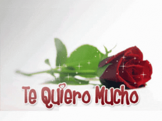 Te Quiero Mucho Glistening Red Roses GIF