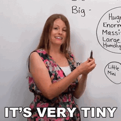 Teacher Demonstrating Tiny GIF