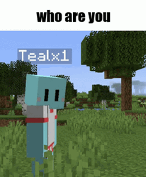 Teal Bot Questioning
