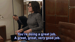 Team Awesome Selina Meyer Says Good Job GIF