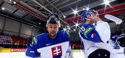 Team Slovakia Hockey Player Julius Hudacek GIF