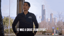 Teamwork Makes The Dream Work Miranda Mayo GIF