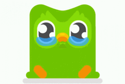 Teary Eyed Duolingo Meme GIF