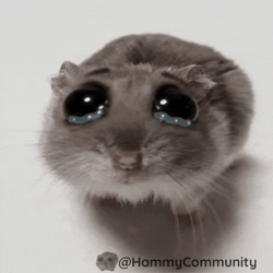 Teary Eyes Sad Hamster GIF