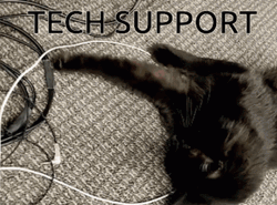 Technical Difficulties Black Cat GIF