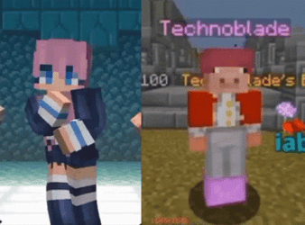 Technoblade Dance Off With LD Shadow Lady GIF