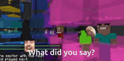 Technoblade Minecraft What Did You Say GIF