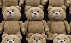 ted-498-x-301-gif-r7a435xvy9oumn9b.webp