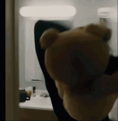 Ted Attacking Human GIF