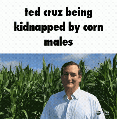 Ted Cruz In A Corn Field GIF