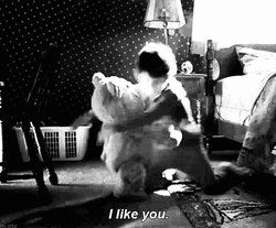 Ted I Like You Hug GIF