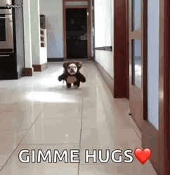 Ted Running Gimme Hugs Human GIF