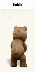 Ted The Bear Shaking Bottle GIF