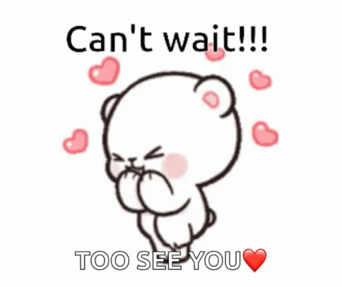 Teddy Bear Can't Wait Too See You GIF