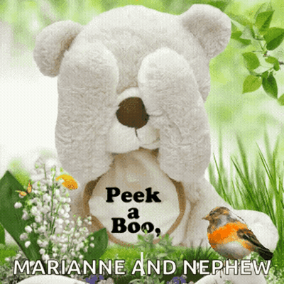 Teddy Bear Covering Eyes Peek A Boo GIF