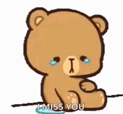 Teddy Bear Crying Saying I Miss You Holding Flower GIF