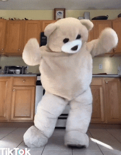 Teddy Bear Dancing In Kitchen GIF