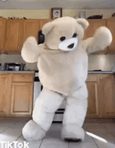 Teddy Bear Dancing In Kitchen TikTok GIF