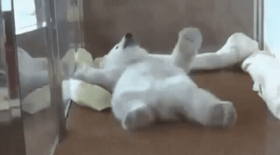 Teddy Bear DBD Time Red Text GIF