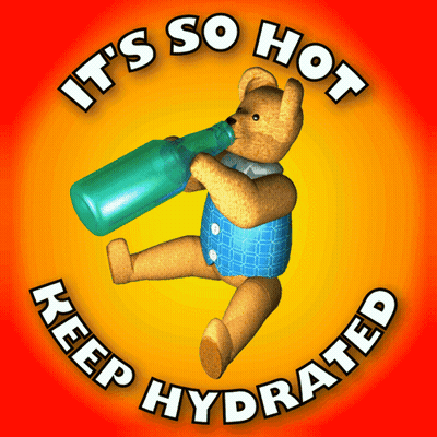 Teddy Bear Drinking Green Bottle Keep Hydrated GIF