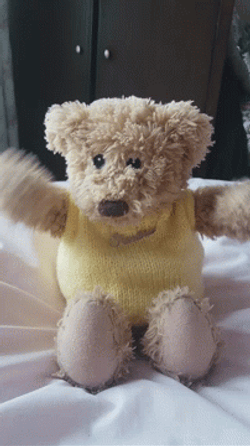 Teddy Bear Excited Hello GIF