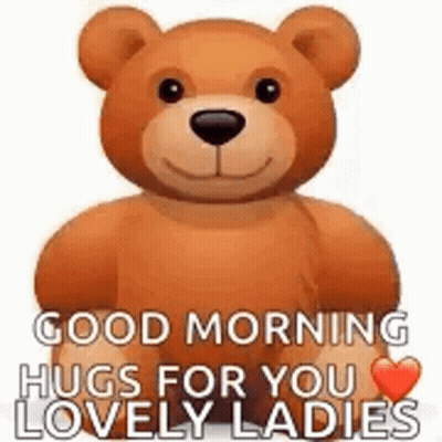 Teddy Bear Good Morning Hugs For You Lovely Ladies GIF