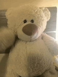 Teddy Bear Hi Hello GIF