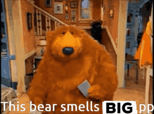Teddy Bear Holding Book Saying Big PP GIF