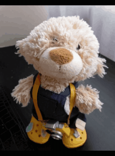 Teddy Bear Holding Camera In Yellow Crocs GIF