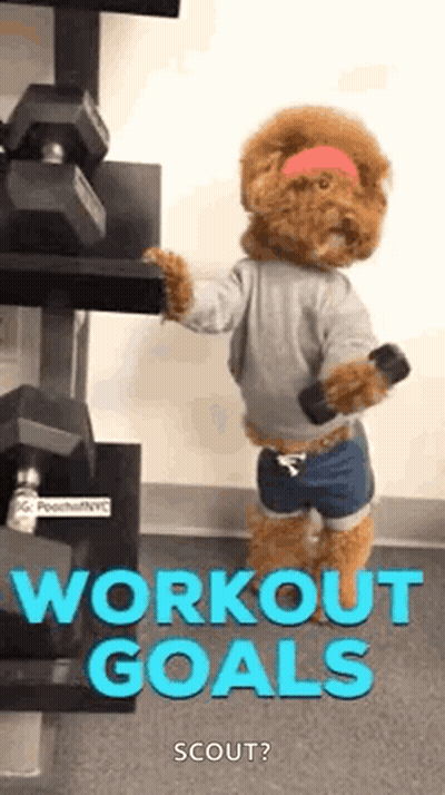 Teddy Bear Holding Dumbbell Wearing Headband