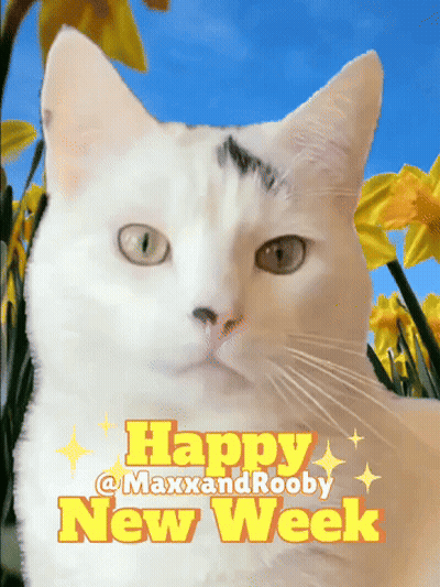 Teddy Bear Holding Flowers Saying I Love You So Much GIF