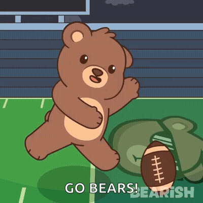 Teddy Bear Holding Football Go Bears GIF