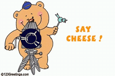 Teddy Bear Holding Record Saying Smilin Good Day GIF