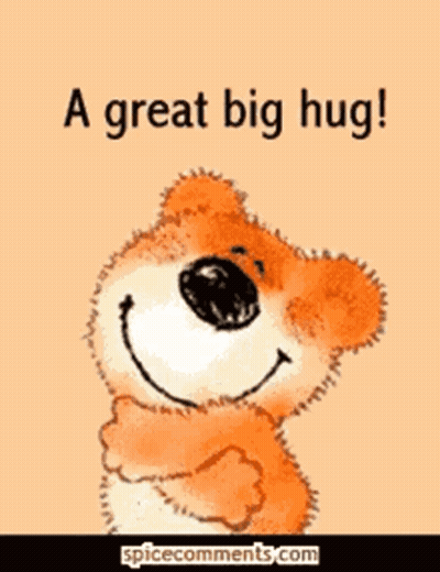 Teddy Bear Hugging Another Teddy Bear GIF
