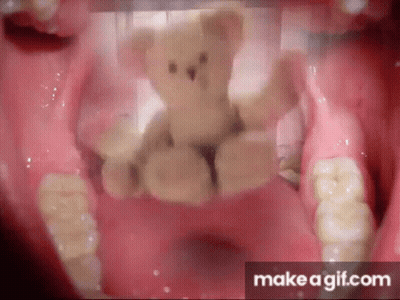 Teddy Bear Hugging Another Teddy Bear Saying My New LGBTQ Rights Ally GIF