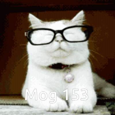 Teddy Bear Im A Genius GIF