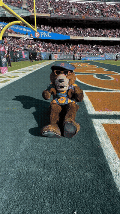 Teddy Bear In Hat With Letter B On Field GIF