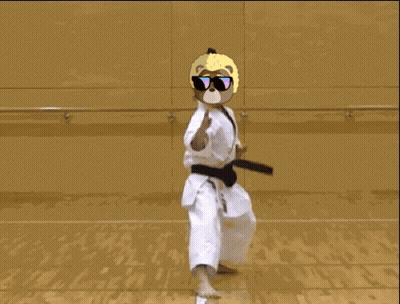 Teddy Bear In Karate Uniform And Sunglasses GIF