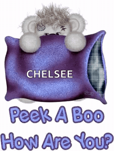 Teddy Bear Laying On Purple Pillow With Chelsea GIF