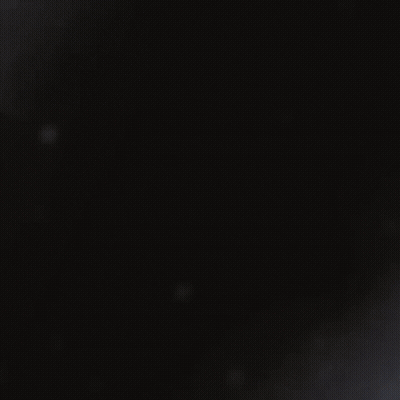 Teddy Bear Named Frostbeary GIF