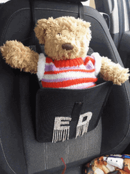 Teddy Bear On Baby Car Seat GIF
