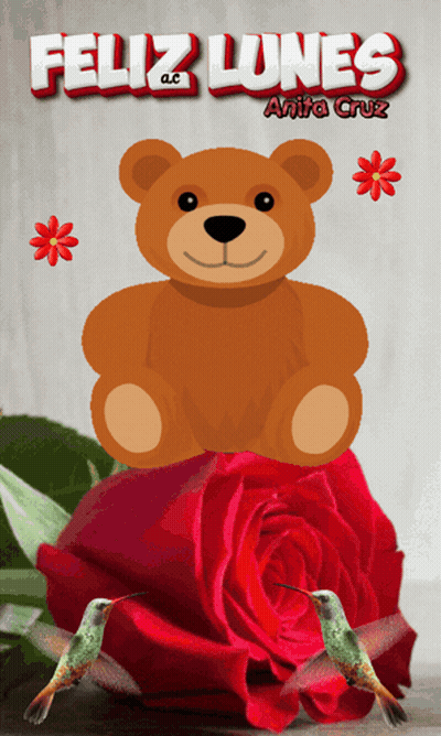 Teddy Bear On Red Rose With Two Hummingbirds GIF