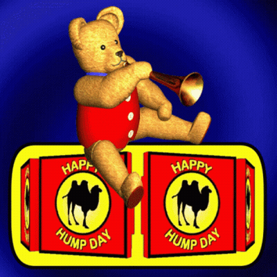 Teddy Bear Playing Trumpet With Happy Humps Day Boxes GIF
