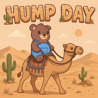 Teddy Bear Riding Camel Hump Day GIF