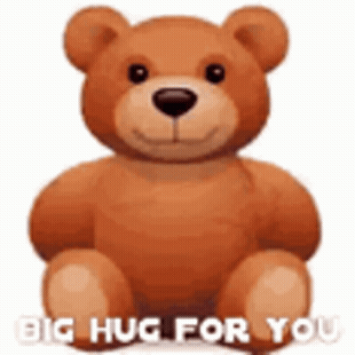 Teddy Bear Saying Big Hug For You GIF