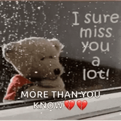 Teddy Bear Sitting By Window Saying I Sure Miss You A Lot GIF