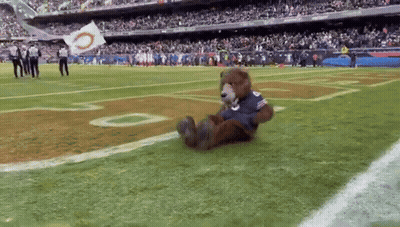 Teddy Bear Sitting On Football Field With O Flag GIF